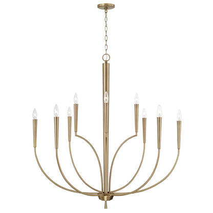 Holden Chandelier by Capital Lighting
