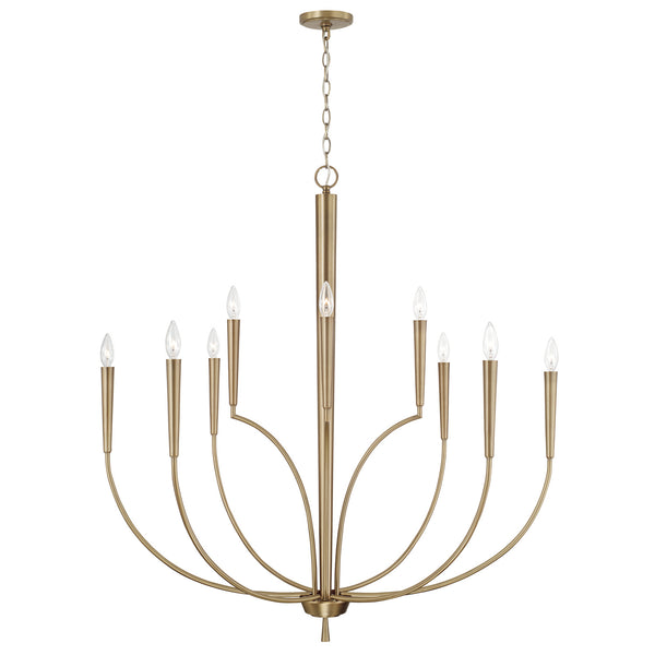 Holden Chandelier by Capital Lighting
