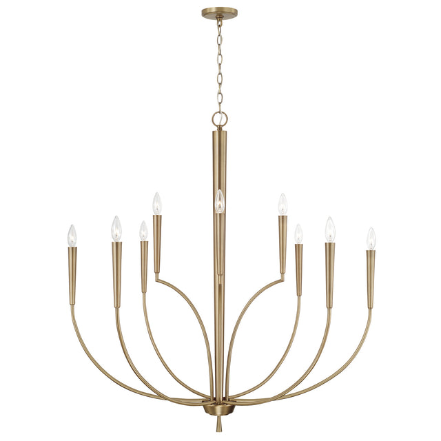 Holden Chandelier by Capital Lighting