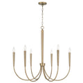 Holden Chandelier by Capital Lighting