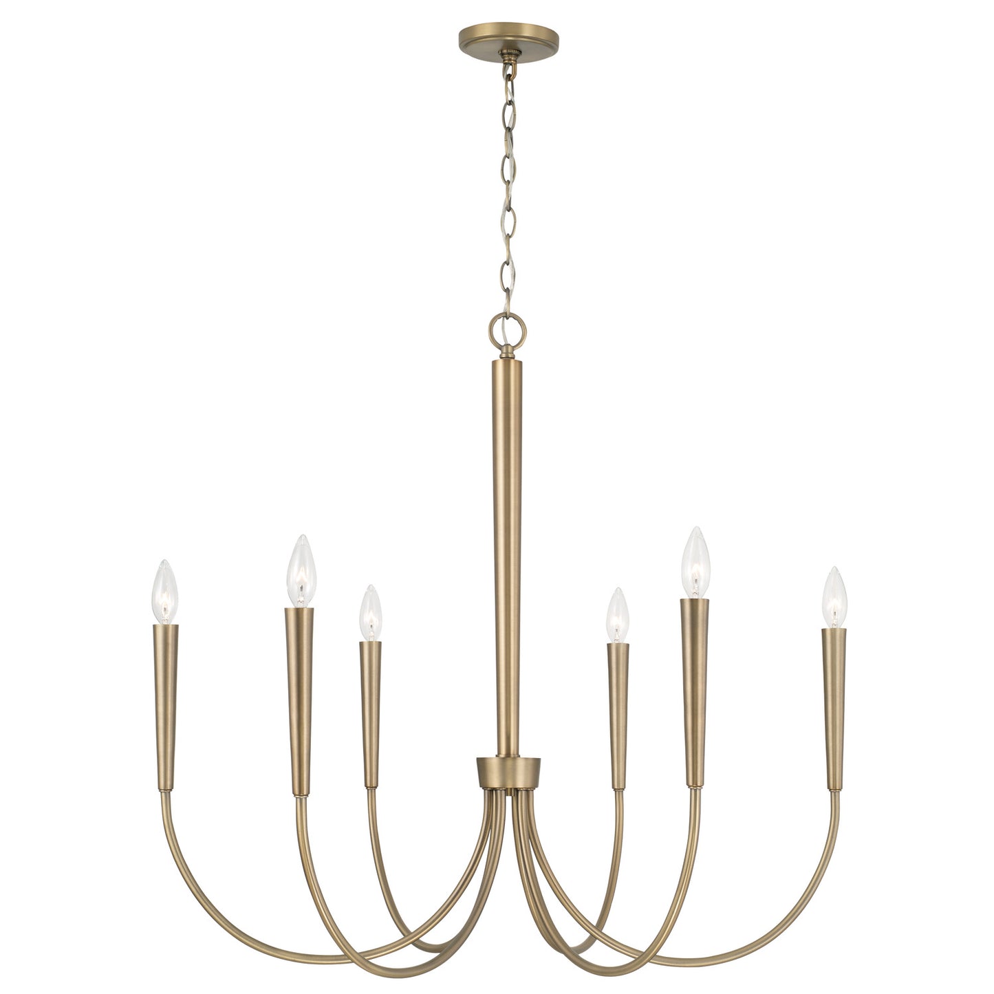 Holden Chandelier by Capital Lighting