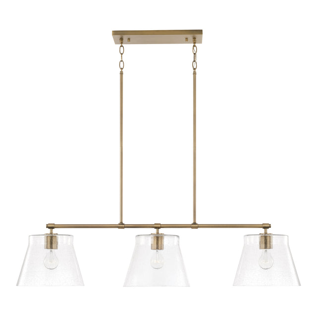 Baker Pendant by Capital Lighting
