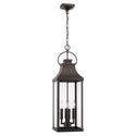 Bradford Outdoor (Damp) Hanging Lantern by Capital Lighting