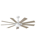Turbine Outdoor (Wet) Ceiling Fan with Light by Hinkley