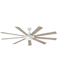 Turbine Outdoor (Wet) Ceiling Fan with Light by Hinkley