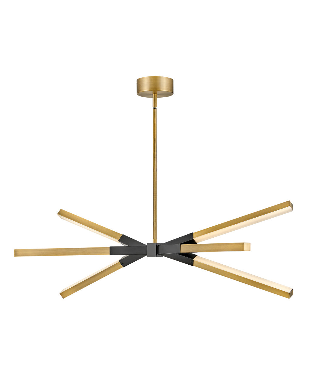Fredrick Ramond-FR30618LCB|MAIN
