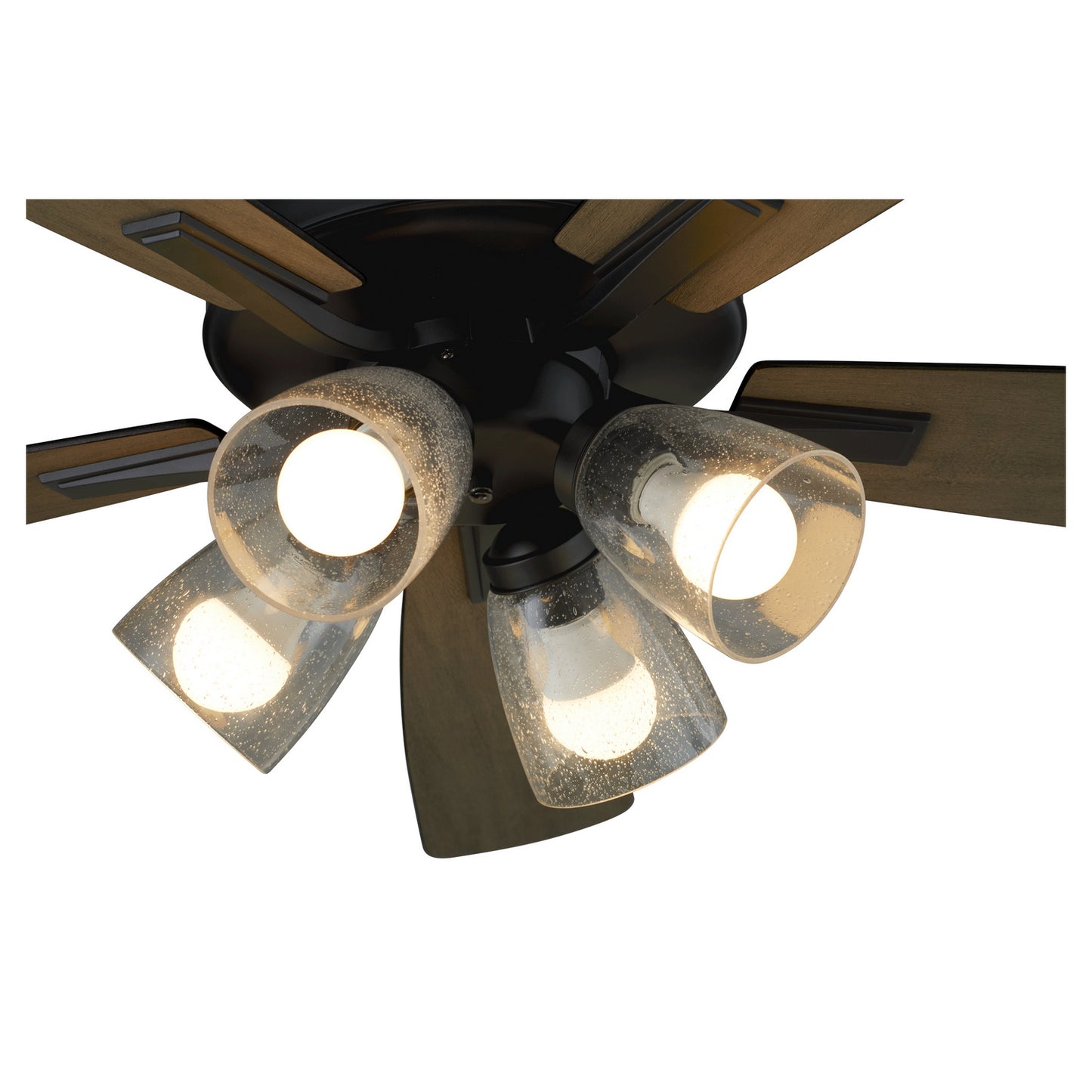 Quorum-4525-2459|ALT|1