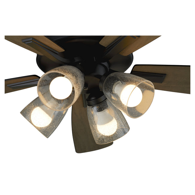 Quorum-4525-2459|ALT|1