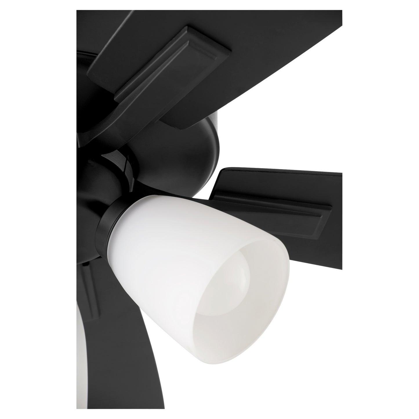 Quorum-4525-359|ALT|1