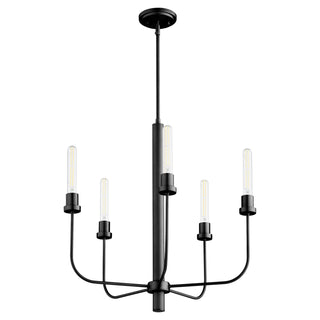 Sheridan Outdoor (Damp) Chandelier by Quorum