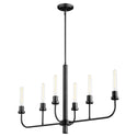 Sheridan Outdoor (Damp) Chandelier by Quorum