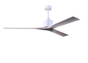 Nan XL Ceiling Fan by Matthews Fan Company