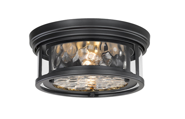 Z-Lite-493F2-MB|MAIN