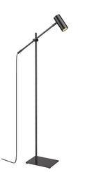 Calumet Floor Lamp by Z-Lite