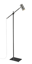 Calumet Floor Lamp by Z-Lite