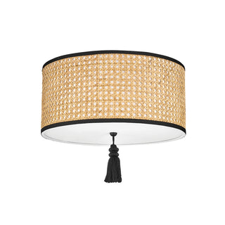 Dolores Outdoor (Damp) Flush Mount Ceiling Light by Mitzi