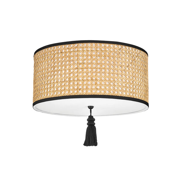 Dolores Outdoor (Damp) Flush Mount Ceiling Light by Mitzi
