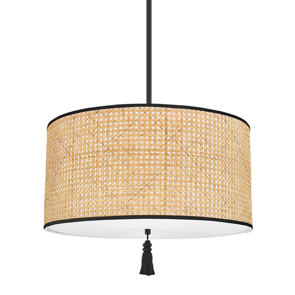 Dolores Outdoor (Damp) Pendant by Mitzi