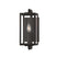 Troy Lighting-B5511-FRN image
