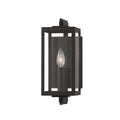Troy Lighting-B5511-FRN image