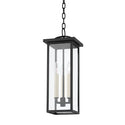 Eden Outdoor (Wet) Pendant by Troy Lighting