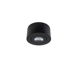 Buy black I Spy Flush Mount Ceiling Light by Modern Forms