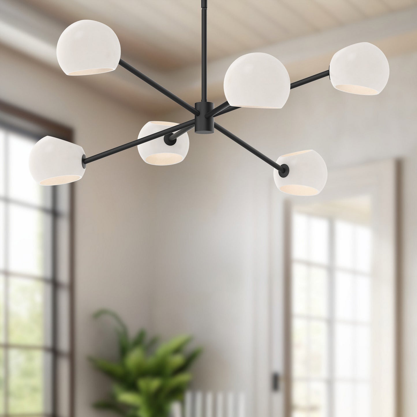 Alora-CH548637MBOP|ALT|1