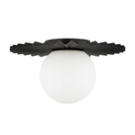 Alora-FM501212MBOP|ALT|2