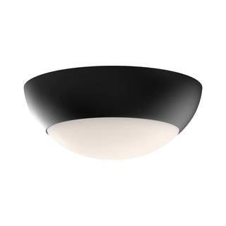 Buy matte-black-opal-matte-glass-and-opal-shade Rubio Flush Mount Ceiling Light by Alora