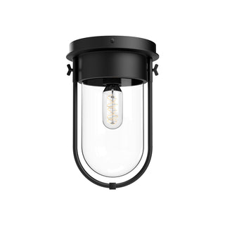 Buy clear-glass-matte-black Cyrus Flush Mount Ceiling Light by Alora