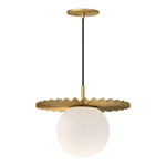 Alora-PD501214BGOP|MAIN