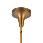 Alora-PD524110AGOP|ALT|4