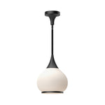 Alora-PD524110MBOP|MAIN