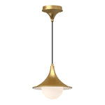 Alora-PD525009BGOP|MAIN