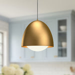 Alora-PD529116AGOP|ALT|1