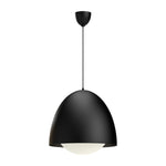 Alora-PD529220MBOP|MAIN