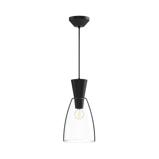 Buy clear-glass-matte-black Arlo Pendant by Alora
