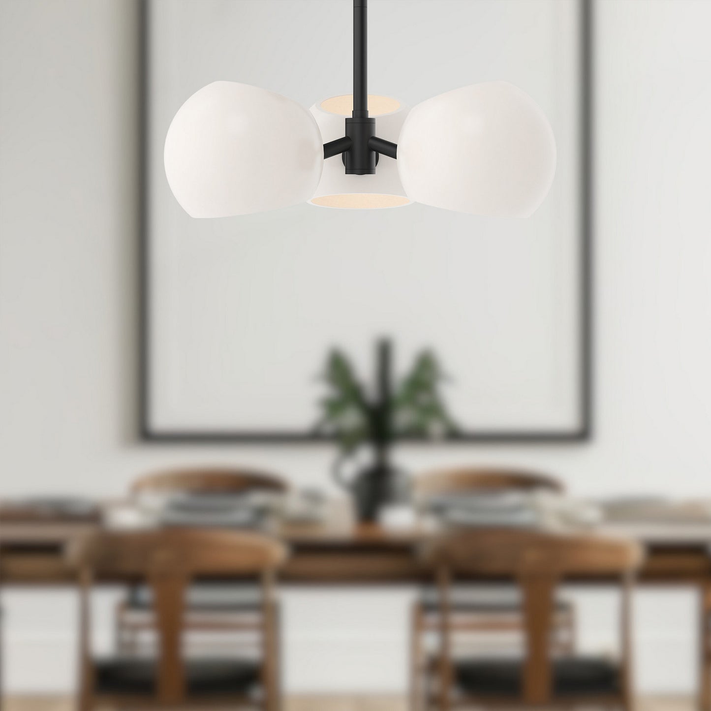 Alora-PD548315MBOP|ALT|5