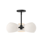 Alora-PD548315MBOP|MAIN