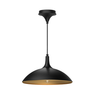 Buy matte-black Abel Pendant by Alora
