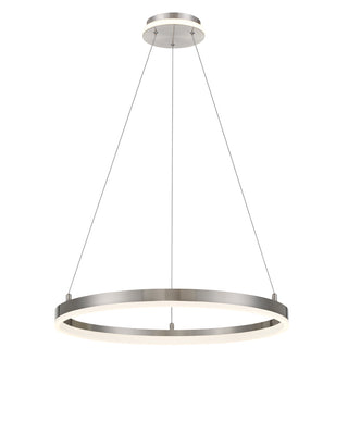 Buy brushed-nickel-with-frosted-glass Recovery Outdoor (Damp) Pendant by George Kovacs
