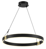 George Kovacs-P5405-689-L|MAIN