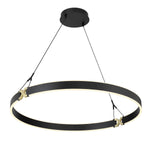 George Kovacs-P5406-689-L|ALT|3