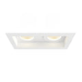 Amigo Outdoor (Damp) Downlight by Eurofase
