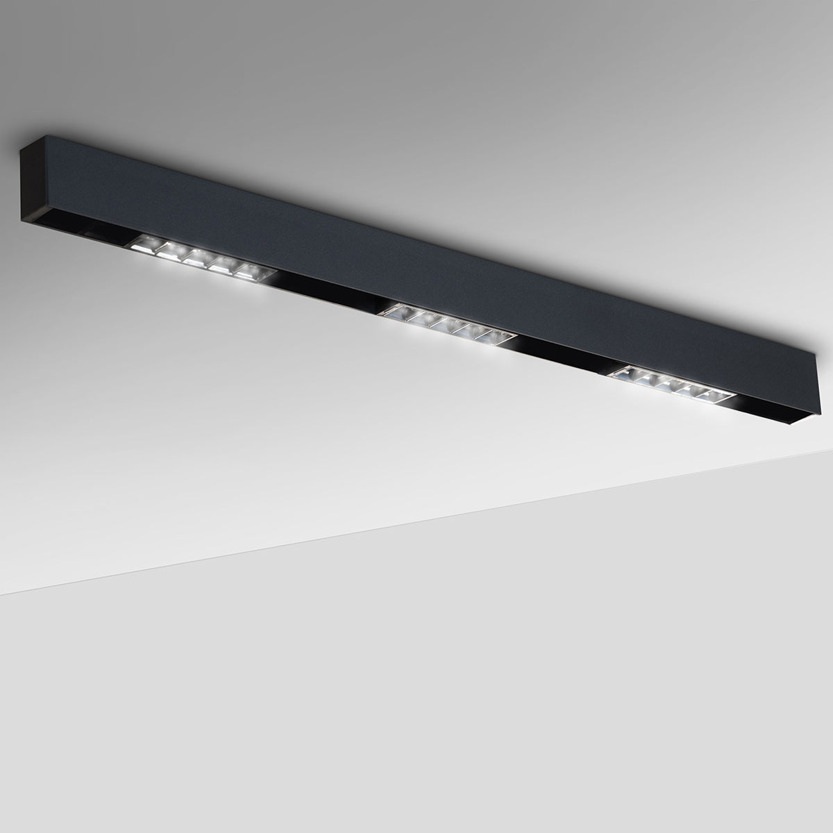 Eurofase-38452-017|MAIN