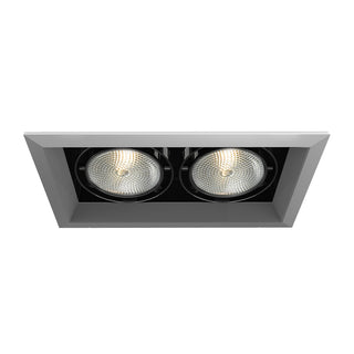 Buy platinum-with-black-glass-and-black-shade Recessed Accessory by Eurofase
