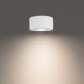 Peek Flush Mount Light by W.A.C. Lighting