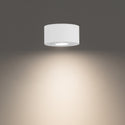 Peek Flush Mount Light by W.A.C. Lighting