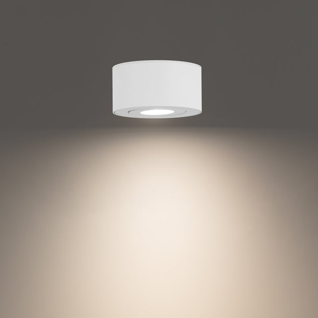 Peek Flush Mount Light by W.A.C. Lighting