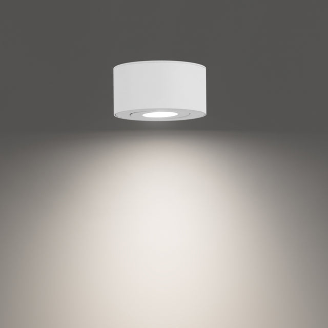 Peek Flush Mount Light by W.A.C. Lighting